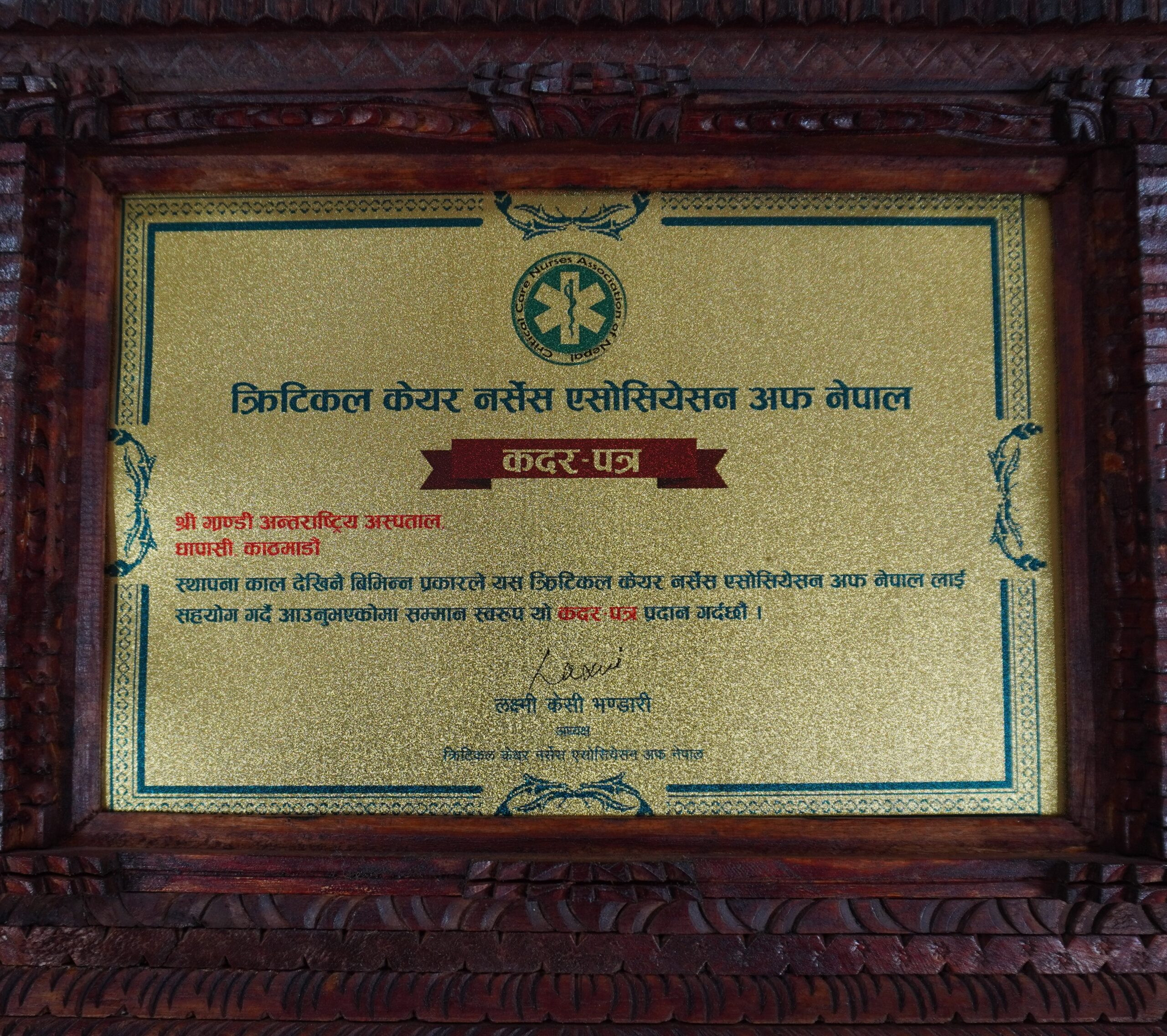 Critical care Nurses Association of Nepal
