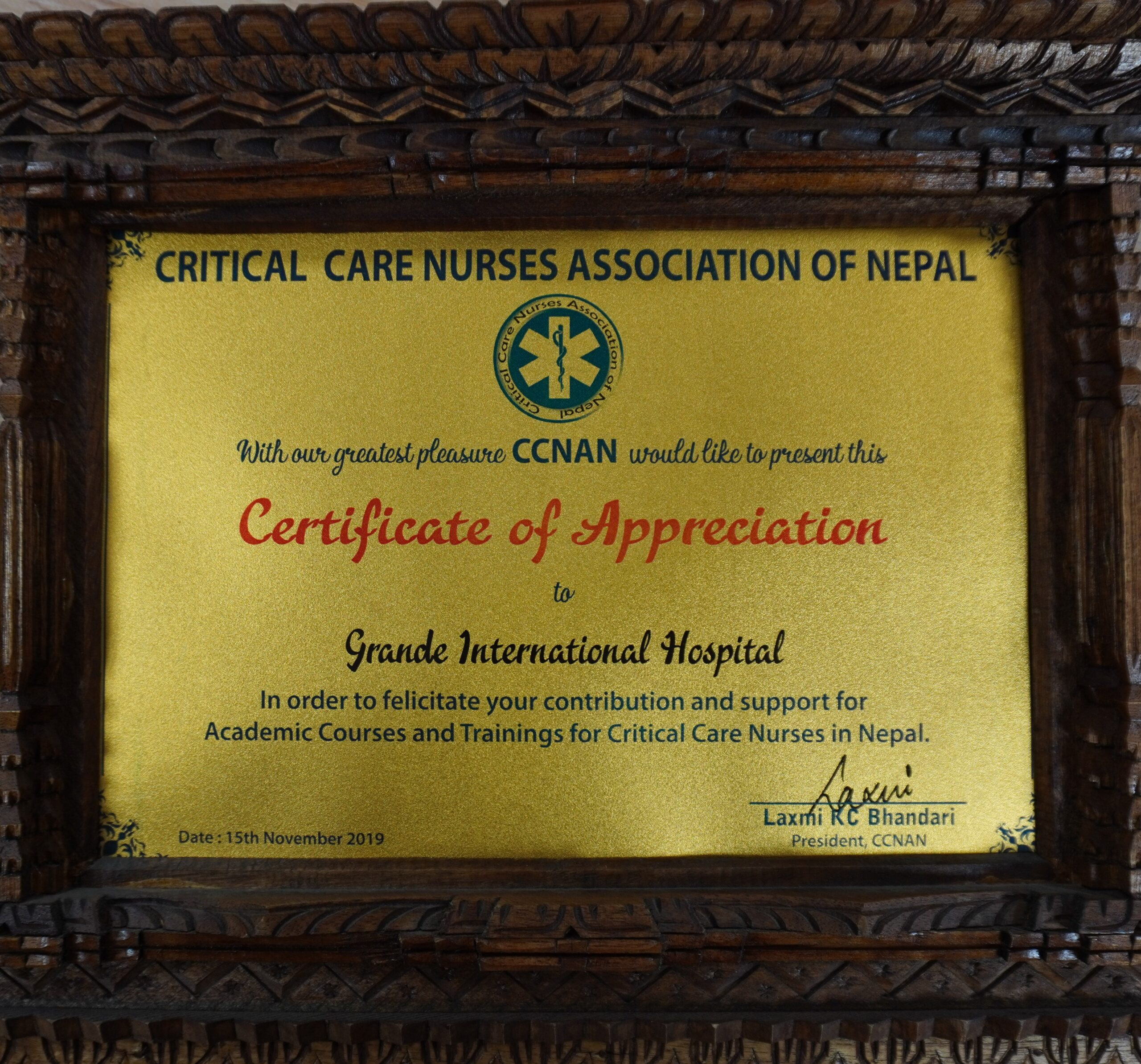 Critical care Nurses Association of Nepal