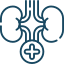 Nephrology and Transplant Medicine