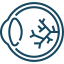 Ophthalmology & Vision Sciences