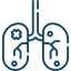 Urology & Kidney Transplantation Surgery