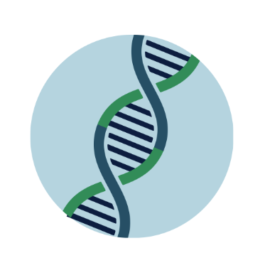 PCR Services
